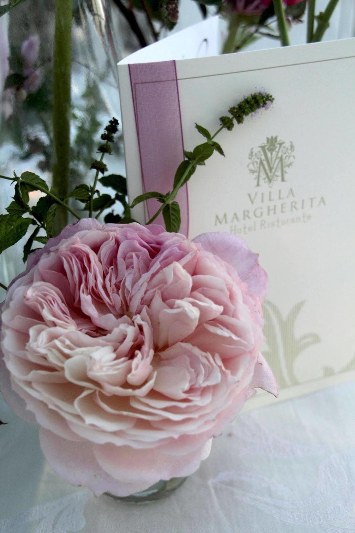 Hotel Margherita